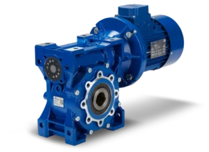 Motovario Worm Gearbox